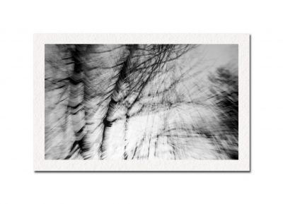 Abstract Trees bl & wh