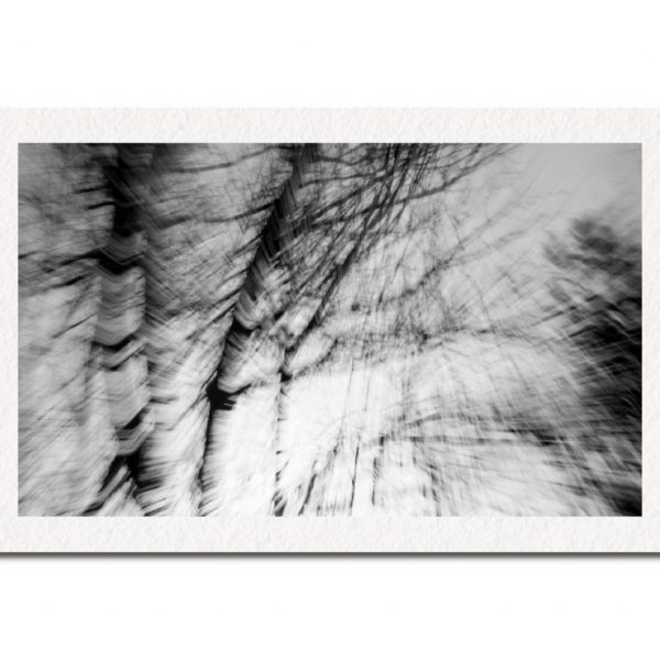 Abstract Trees bl & wh