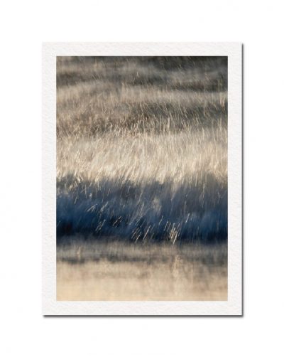 Rain No. 2
