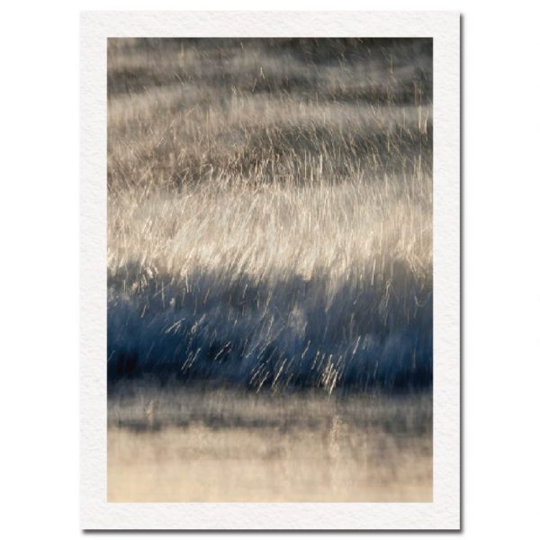 Rain No. 2